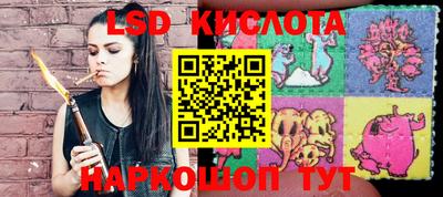 соль ск Славгород