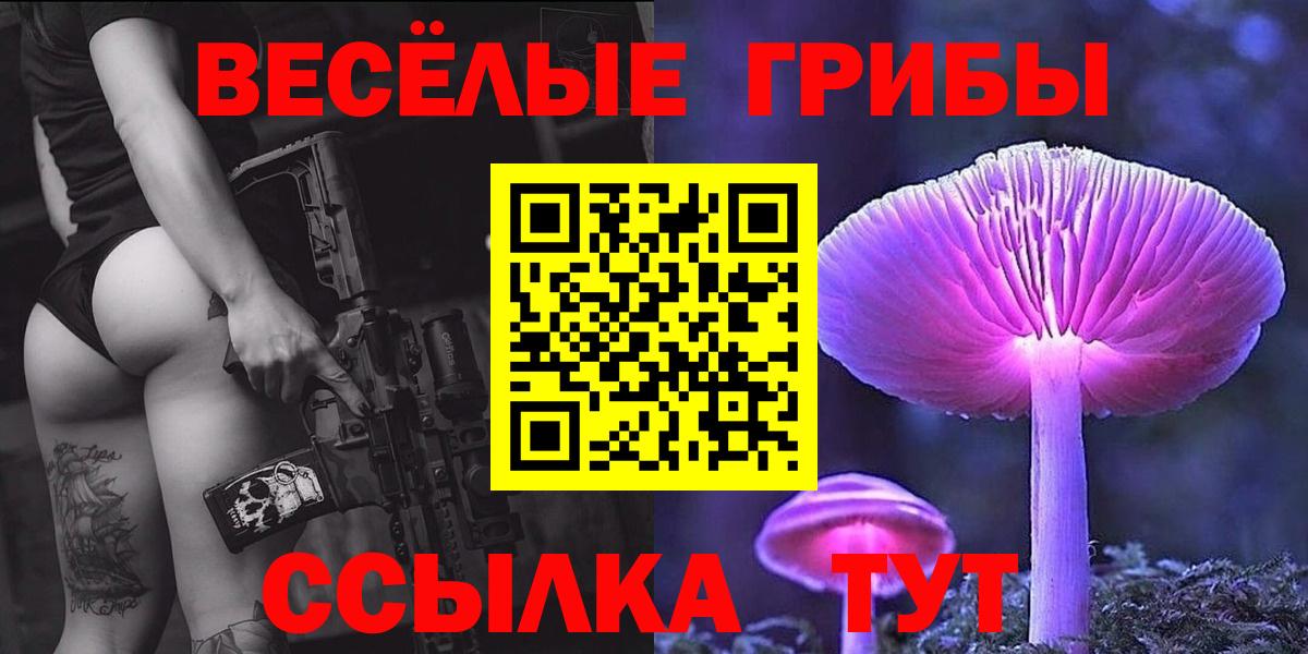 Псилоцибиновые грибы Psilocybe Новоуральск